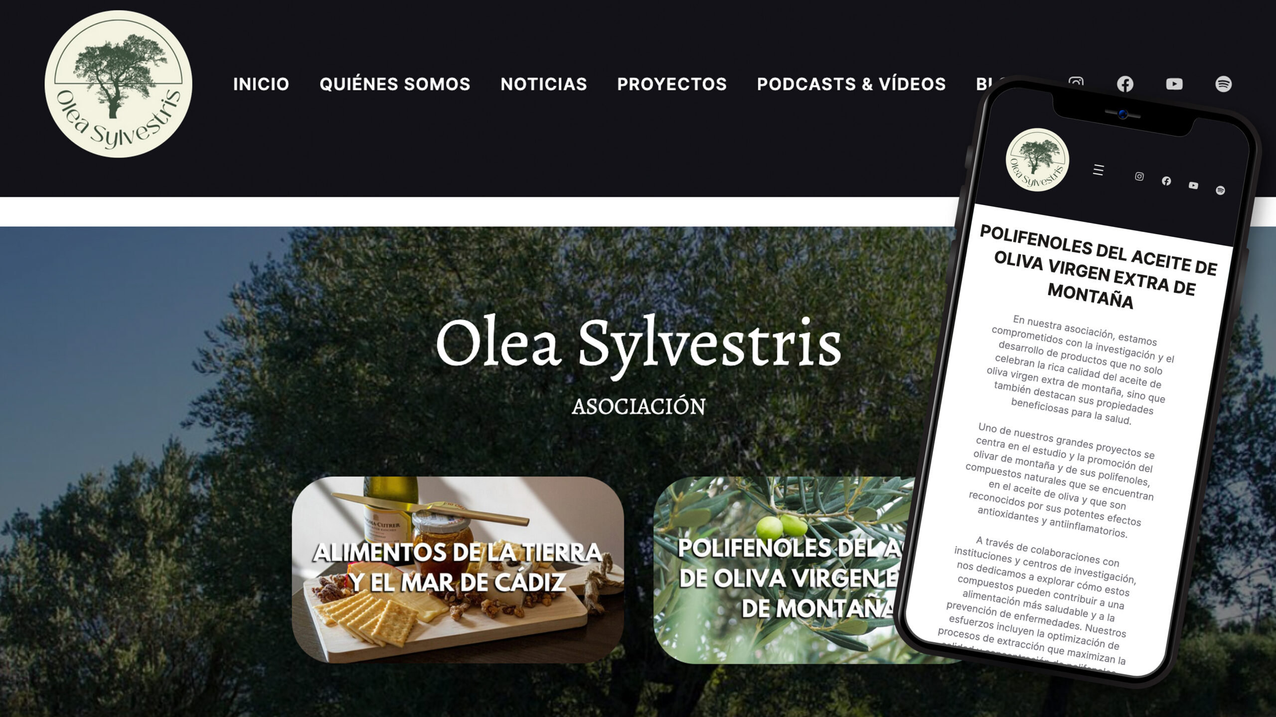 Proyecto Oleasylvestris