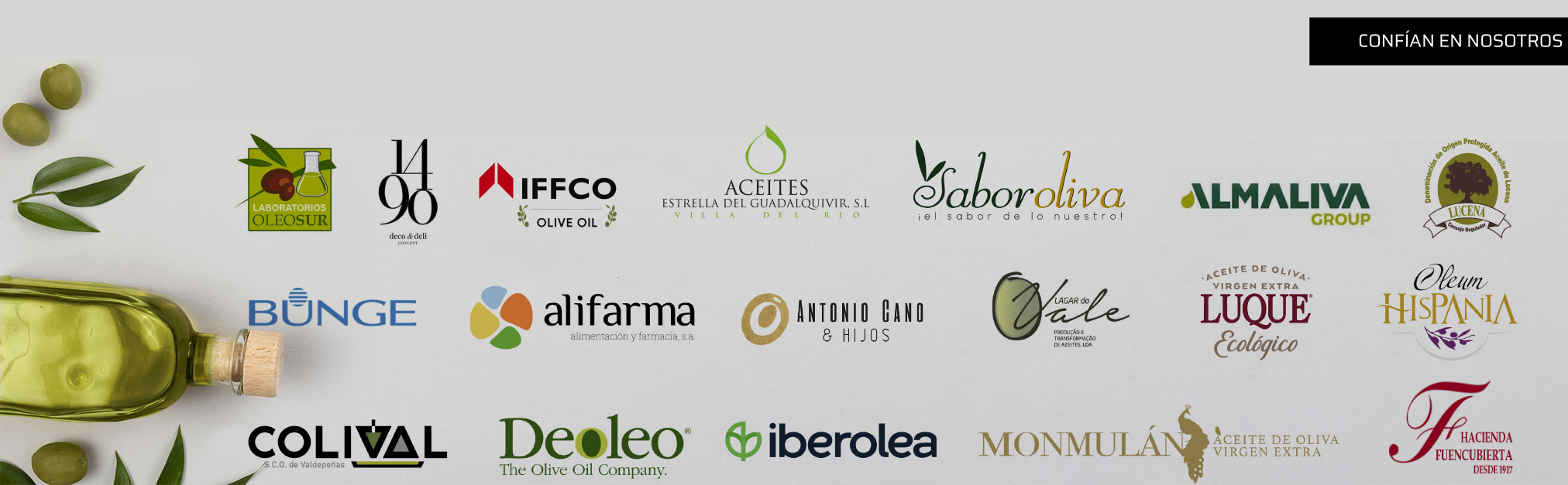 Fondo Logos Clientes