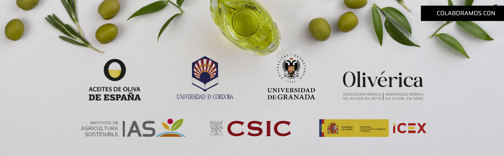 Fondo Logos Colabora